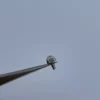 Couronne en acier Breitling véritable Ref/150.410 / Couronne en acier Breitling authentique – Image 3